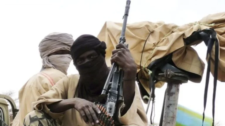 Bandits Kill Another 9 Abductees in Niger