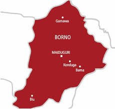 Boko Haram Bomb Experts Surrender in Borno