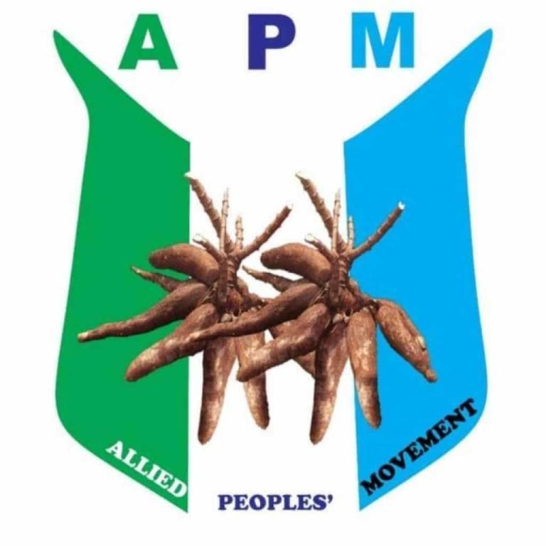 “New Osun Logo, Waste of Resources” – Says APM