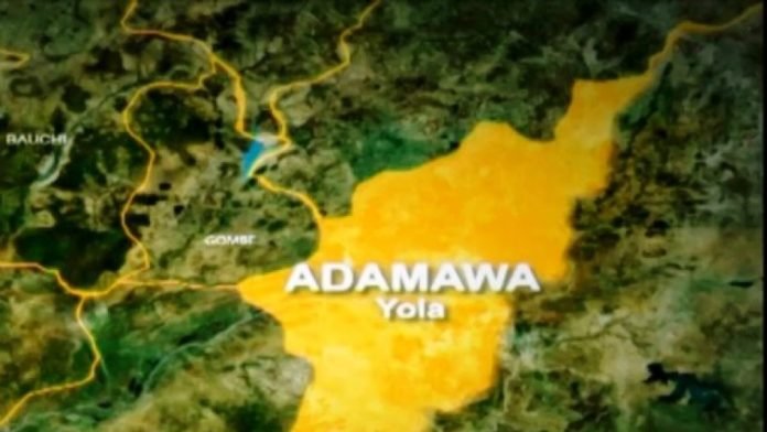 adamawa-1024x576