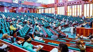 House of Reps Move to Create 74 More Seats for Women Bill Passes Second Reading