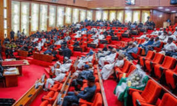 Senate Confirms Bello Chairman of the Code Of Conduct Bureau