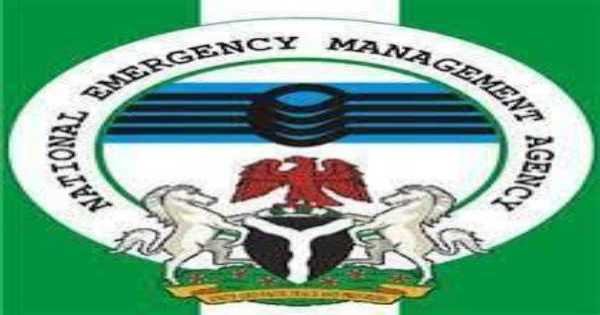 Jigawa Receives 1,528 Metric Tonnes of Grains From NEMA